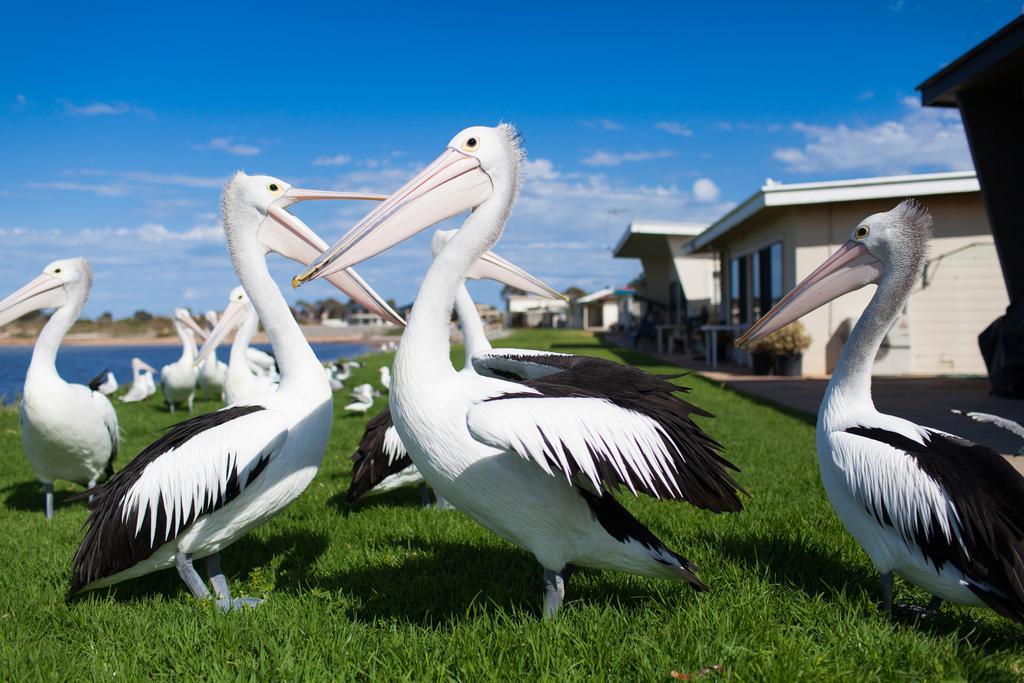 โมดราส อพาร์ตเมนต์ ทัมบี เบย์ Aparthotel Tumby Bay ภายนอก รูปภาพ