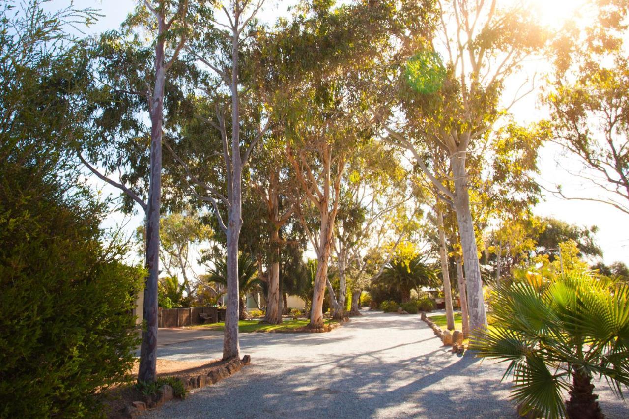 โมดราส อพาร์ตเมนต์ ทัมบี เบย์ Aparthotel Tumby Bay ภายนอก รูปภาพ